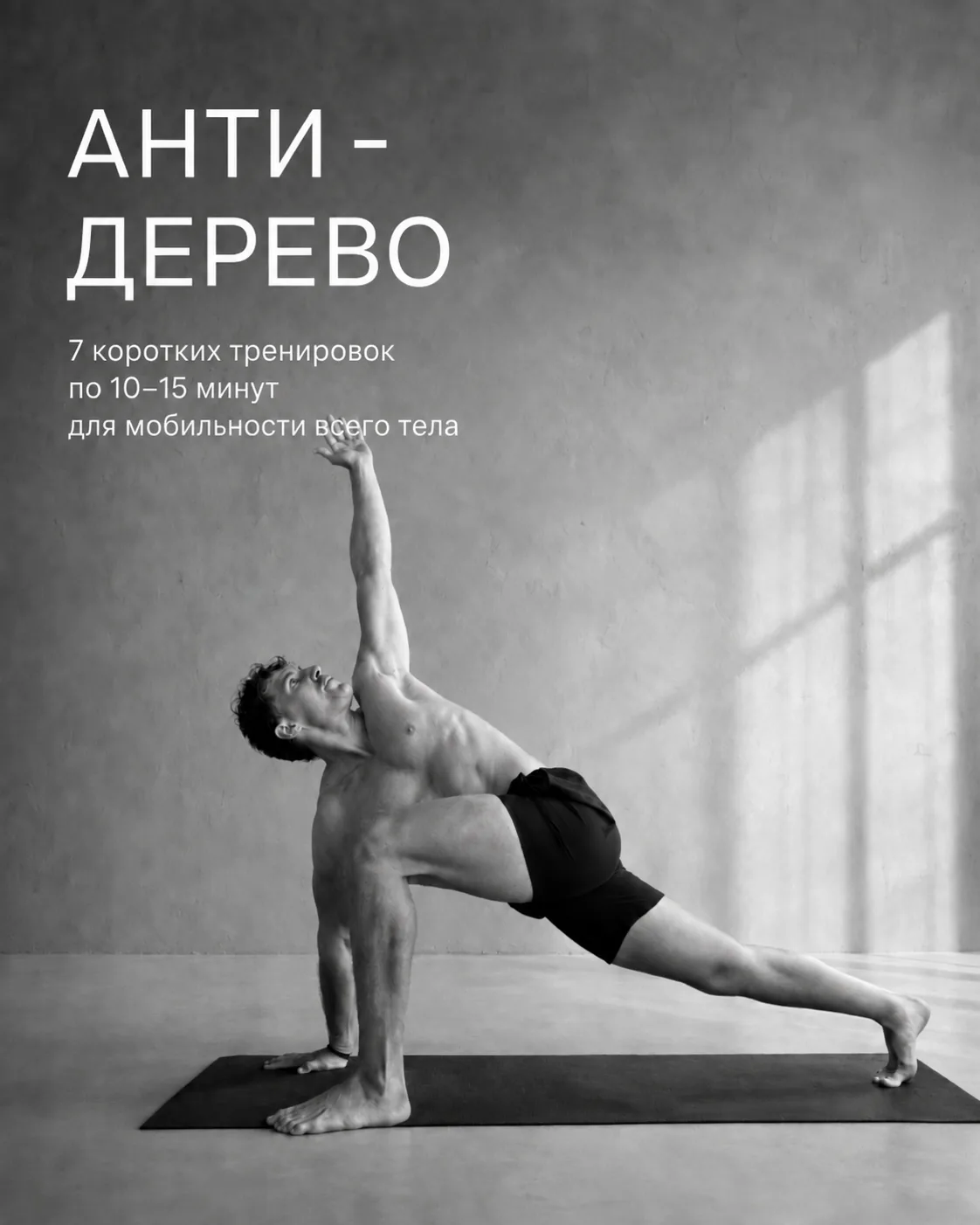 Анти Дерево — обложка программы